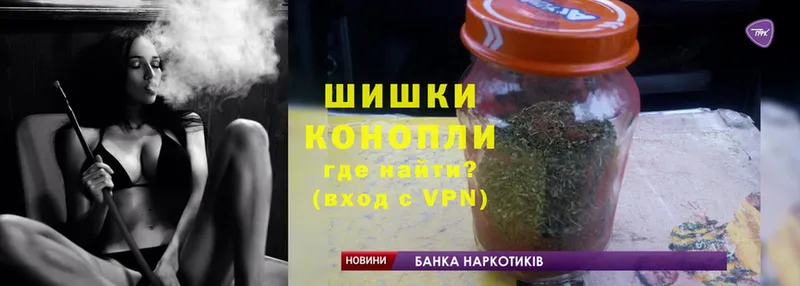 Марихуана SATIVA & INDICA  Новокузнецк 